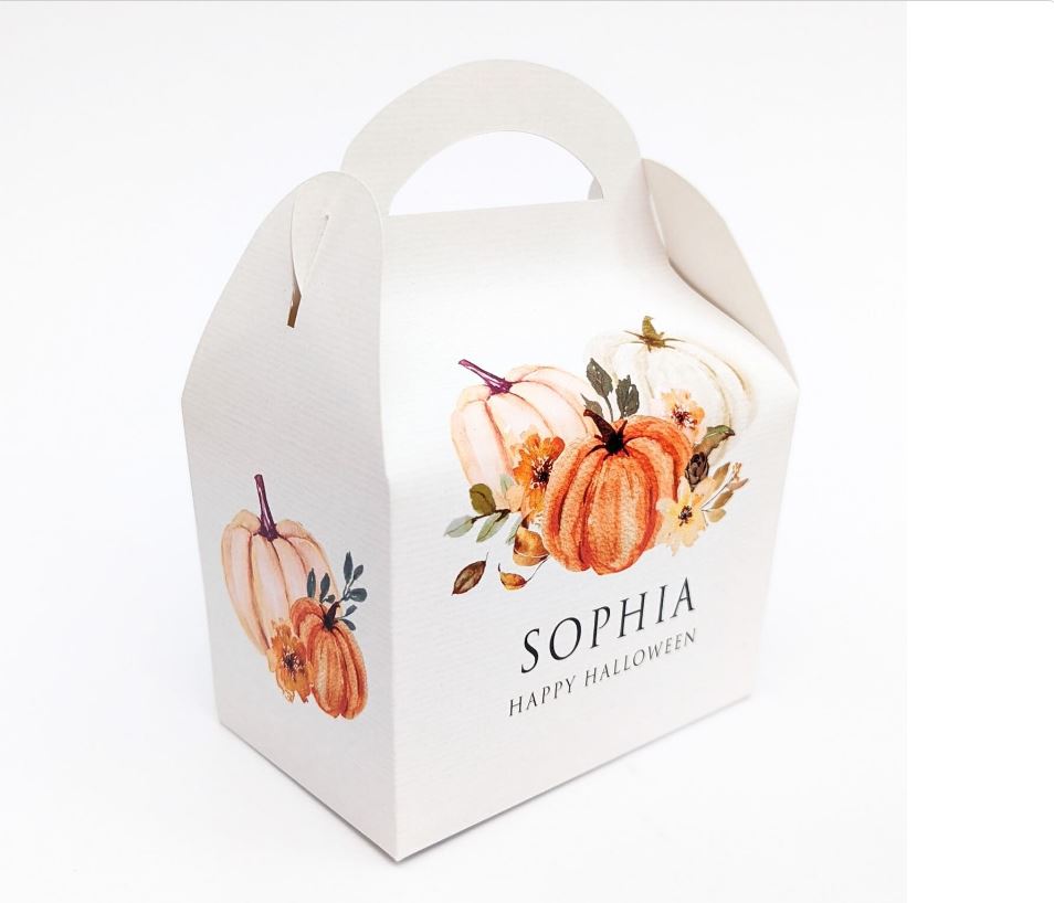 HALLOWEEN Boho Minimal Elegant Pumpkin Personalised Children’s Party Box Gift Bag Favour