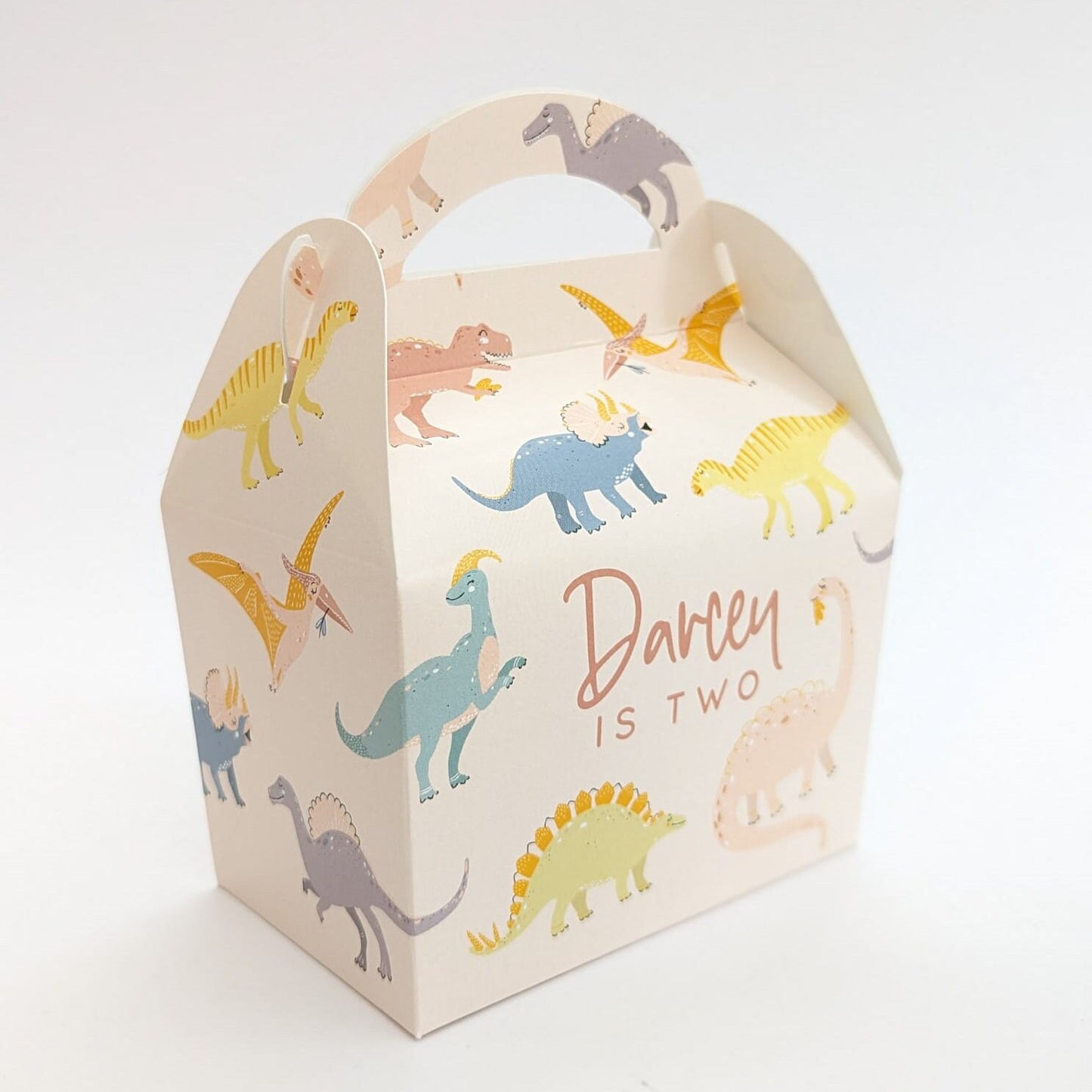 DINOSAURS Pastel Personalised Children’s Party Box Gift Bag Favour