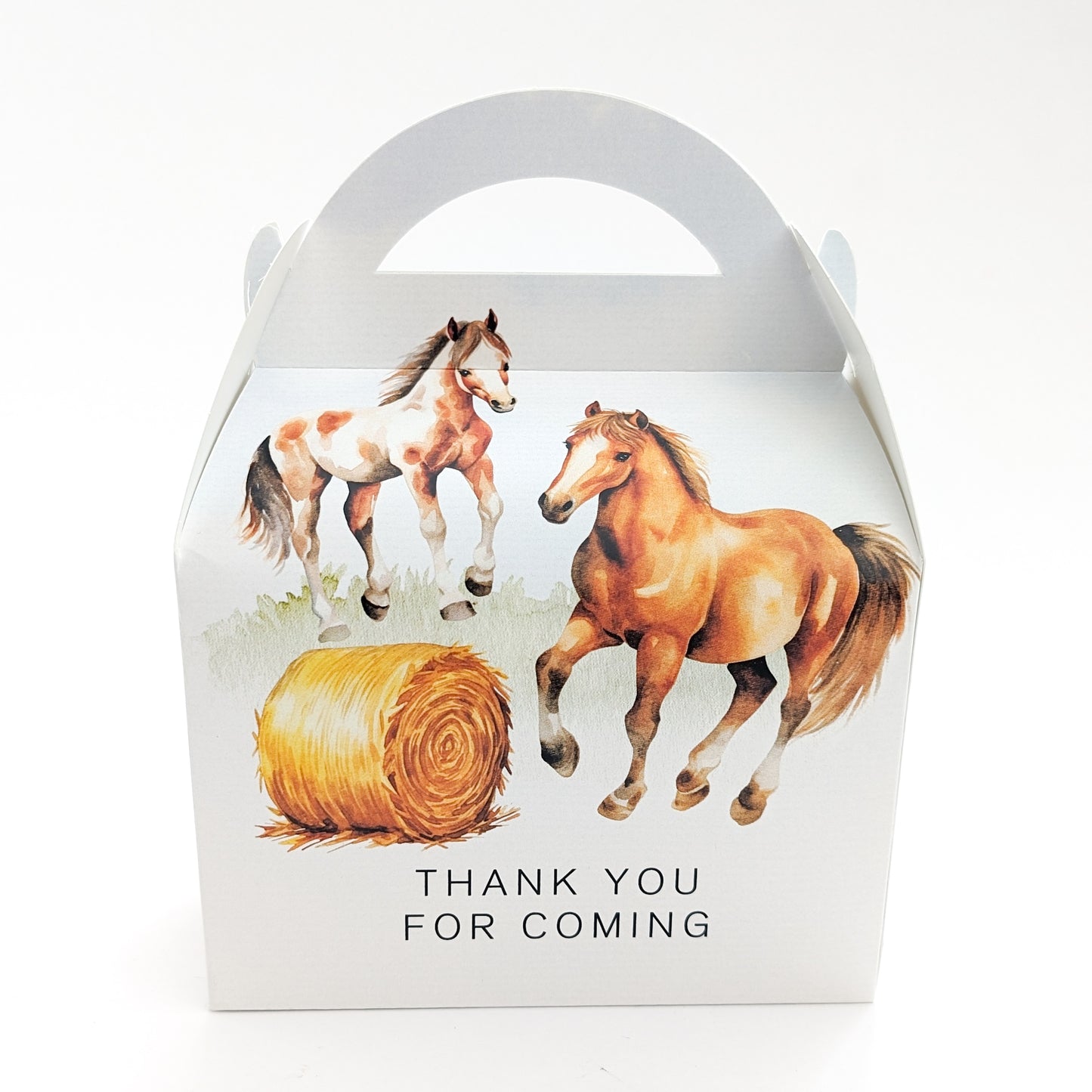 HORSES Equestrian Horse Riding Personalised Children’s Party Box Gift Bag Favour