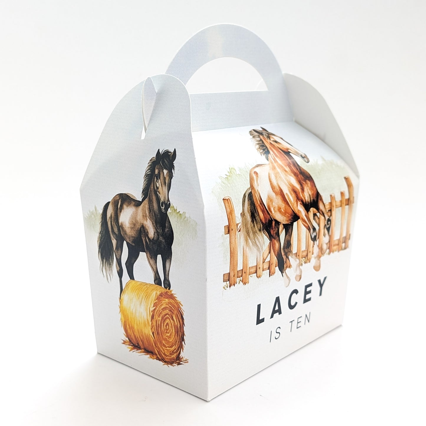 HORSES Equestrian Horse Riding Personalised Children’s Party Box Gift Bag Favour