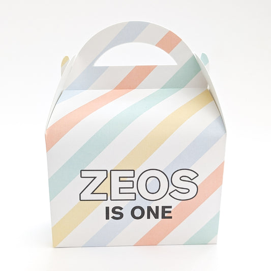 STRIPES Pastel Birthday Party Treat Boxes Gift Bags