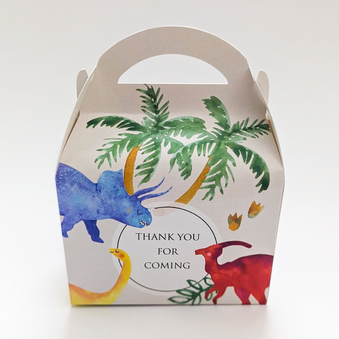 Dinosaurs Personalised Children’s Party Box Gift Bag Favour