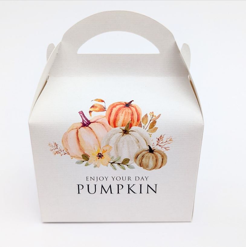 HALLOWEEN Boho Minimal Elegant Pumpkin Personalised Children’s Party Box Gift Bag Favour