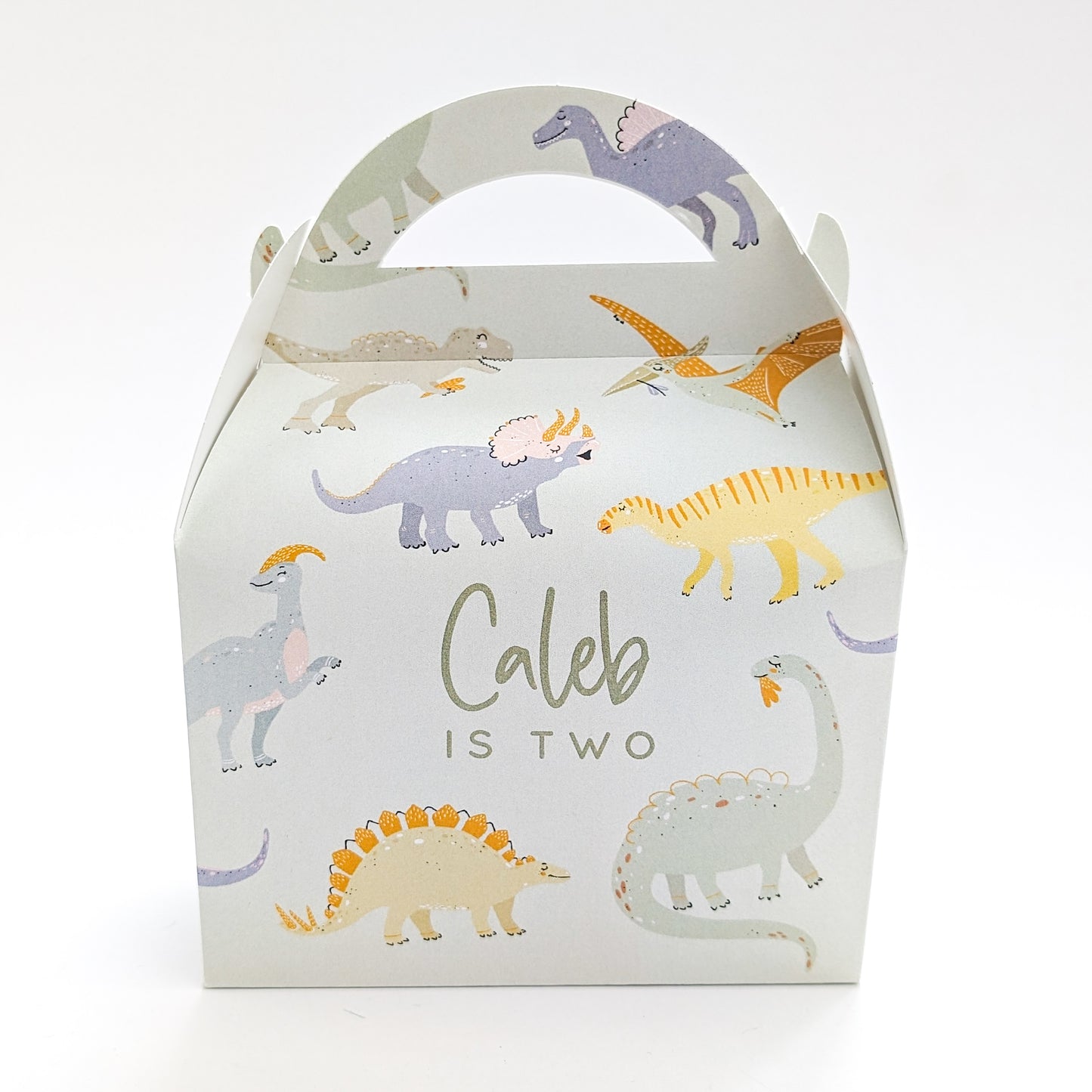 DINOSAURS Pastel Personalised Children’s Party Box Gift Bag Favour