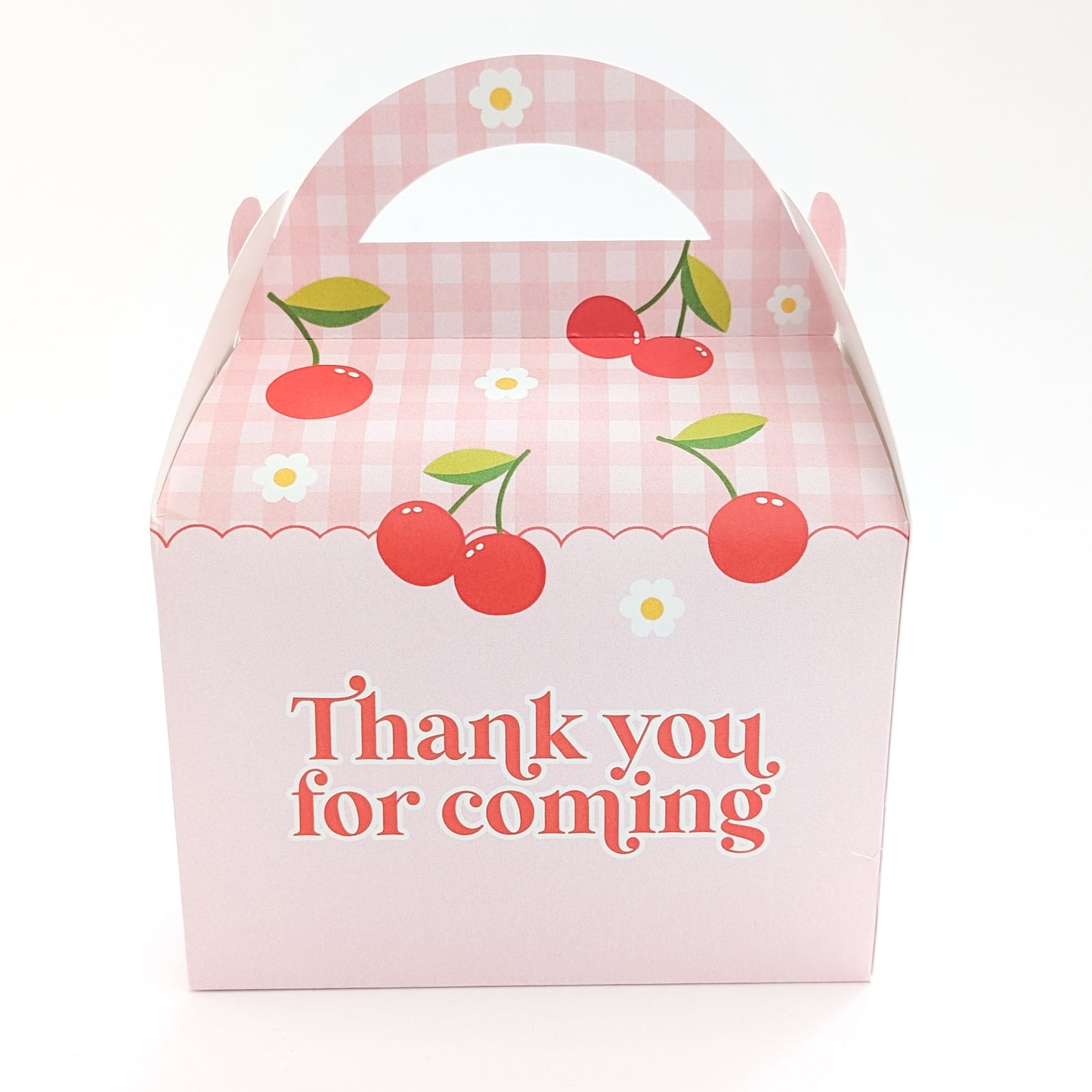 CHERIE AMOUR Cherry Berry Birthday Party Treat Boxes Gift Bags