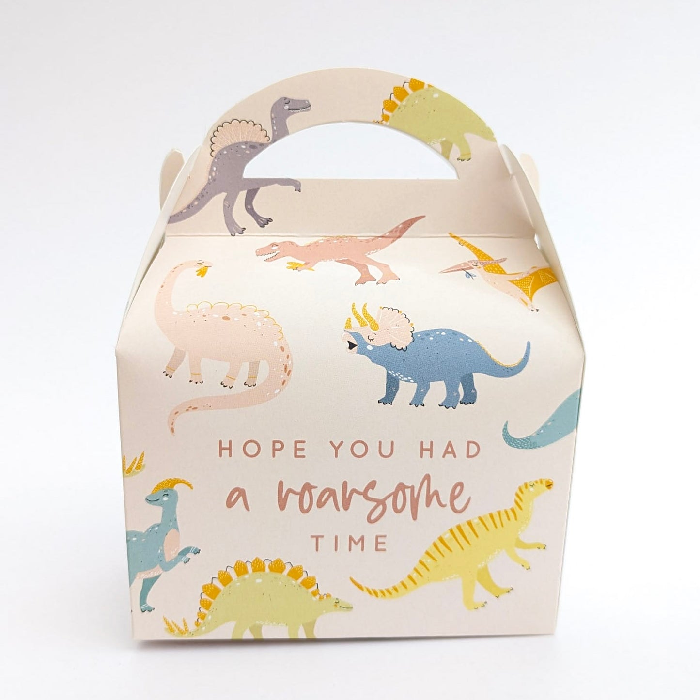 DINOSAURS Pastel Personalised Children’s Party Box Gift Bag Favour