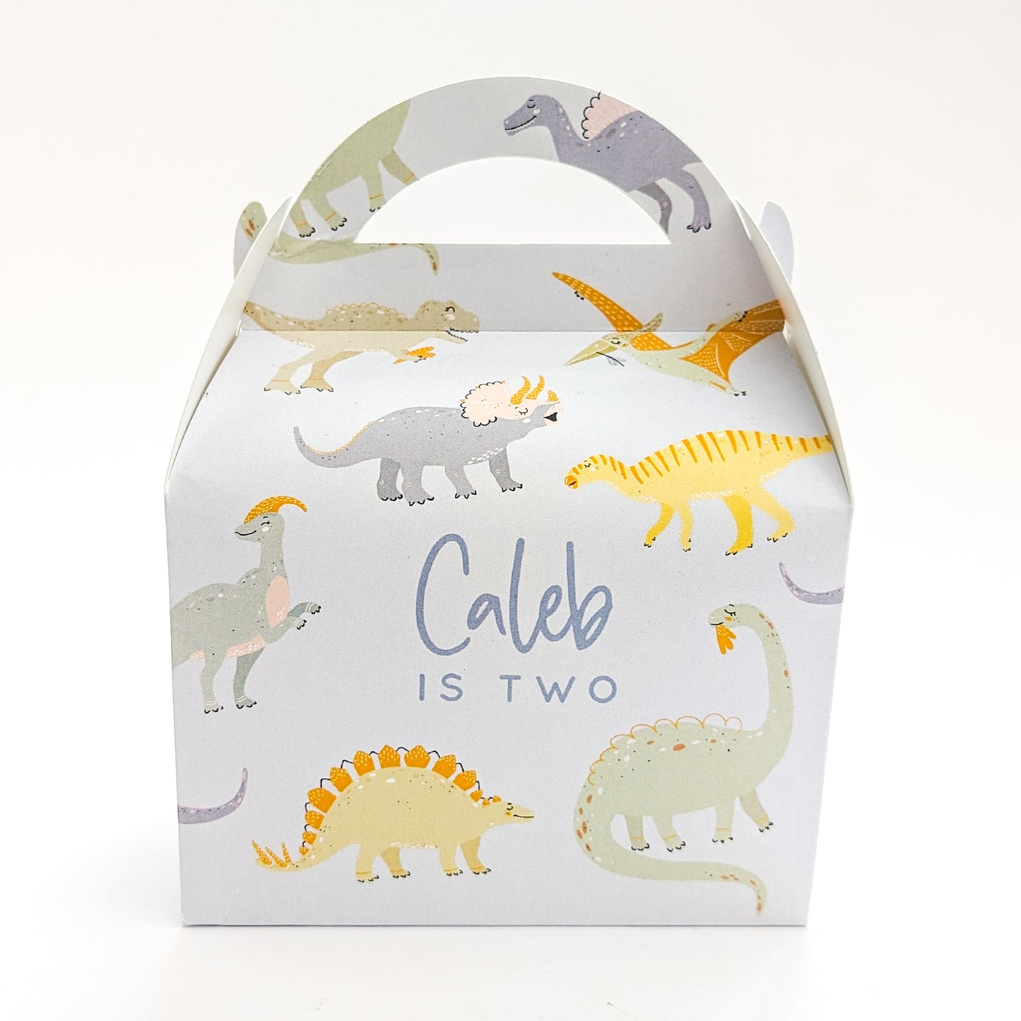 DINOSAURS Pastel Personalised Children’s Party Box Gift Bag Favour