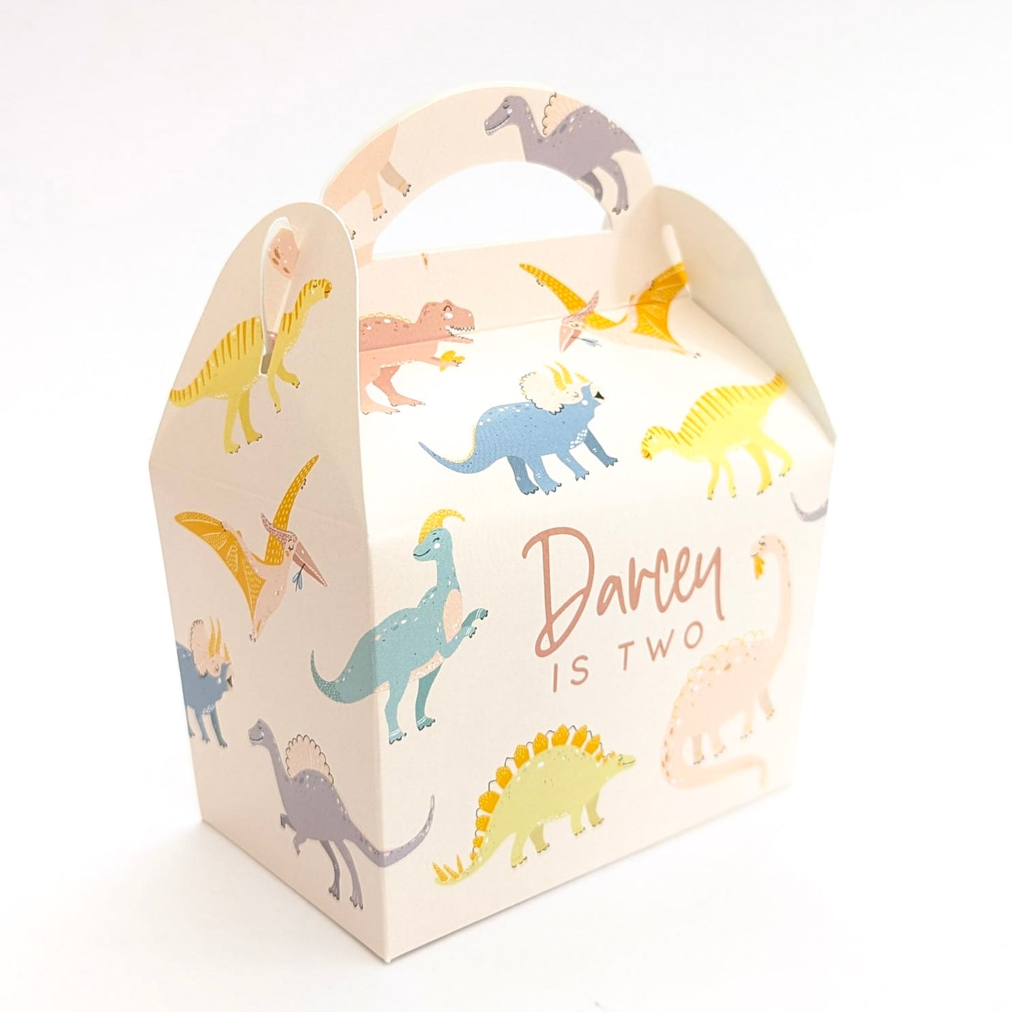 DINOSAURS Pastel Personalised Children’s Party Box Gift Bag Favour