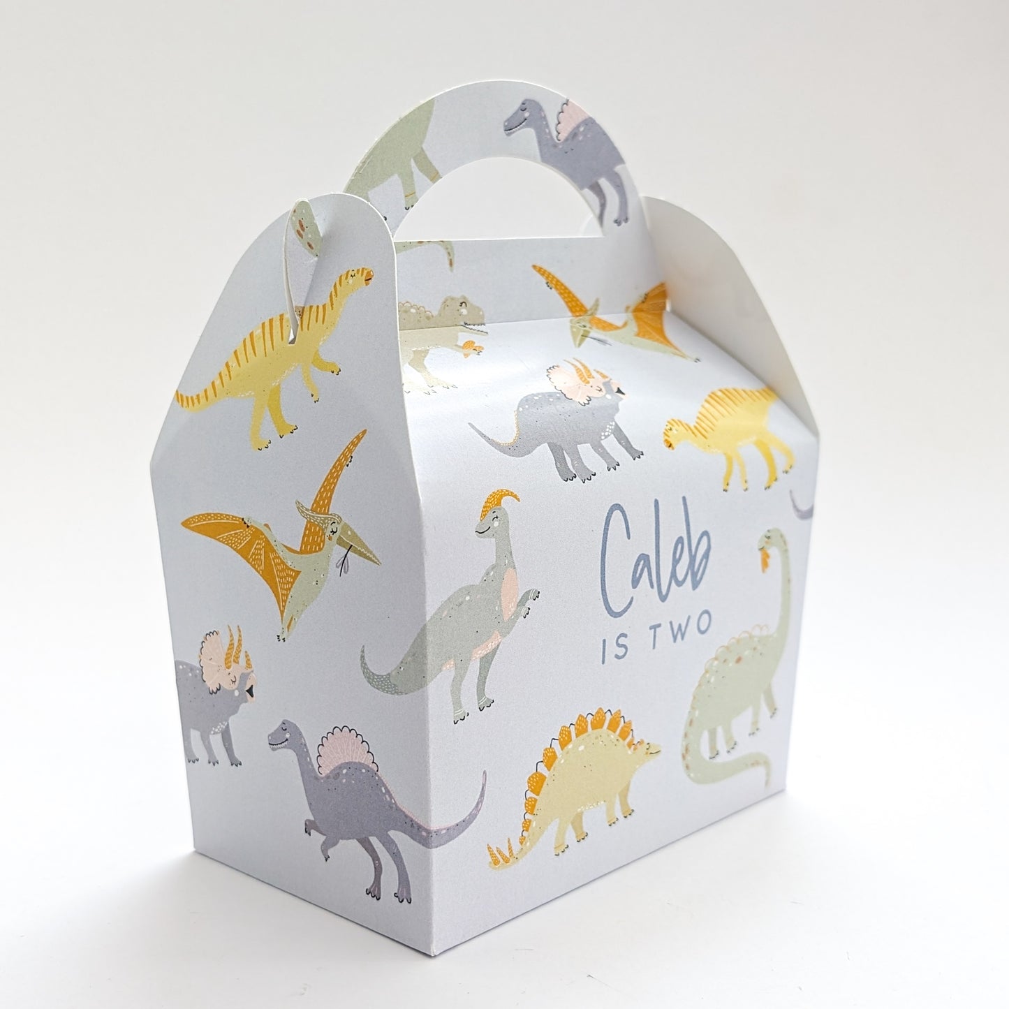 DINOSAURS Pastel Personalised Children’s Party Box Gift Bag Favour