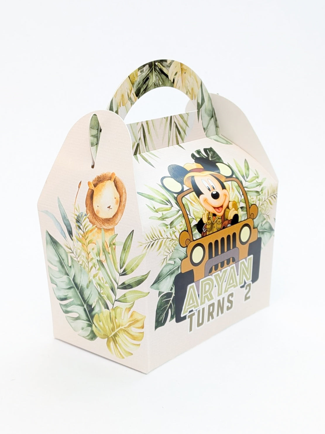 Safari Mickey Mouse Jungle Party Boxes