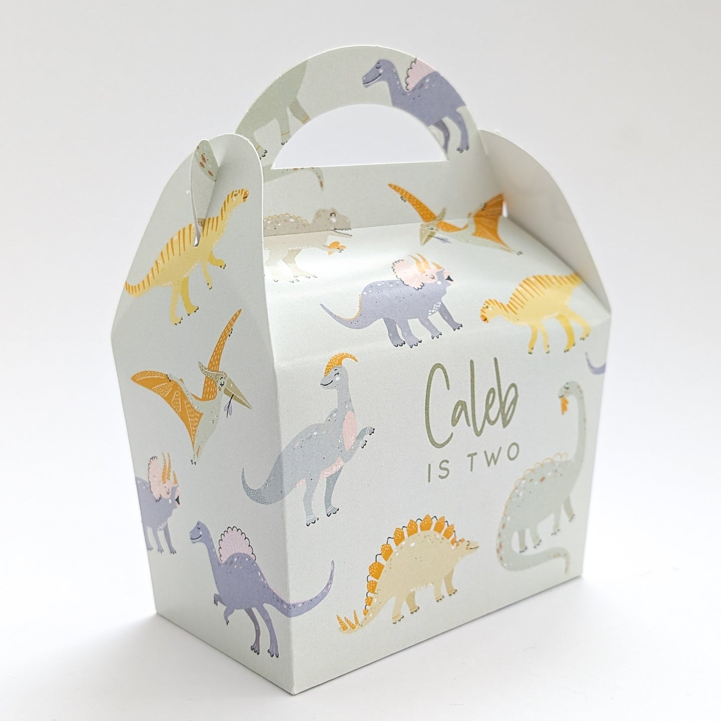 DINOSAURS Pastel Personalised Children’s Party Box Gift Bag Favour