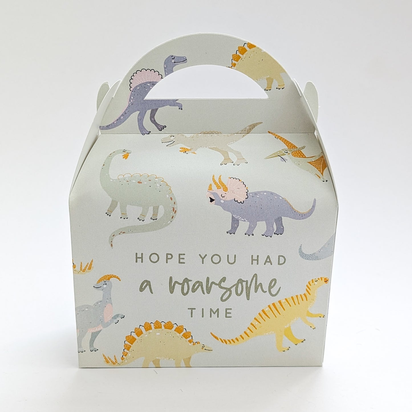 DINOSAURS Pastel Personalised Children’s Party Box Gift Bag Favour