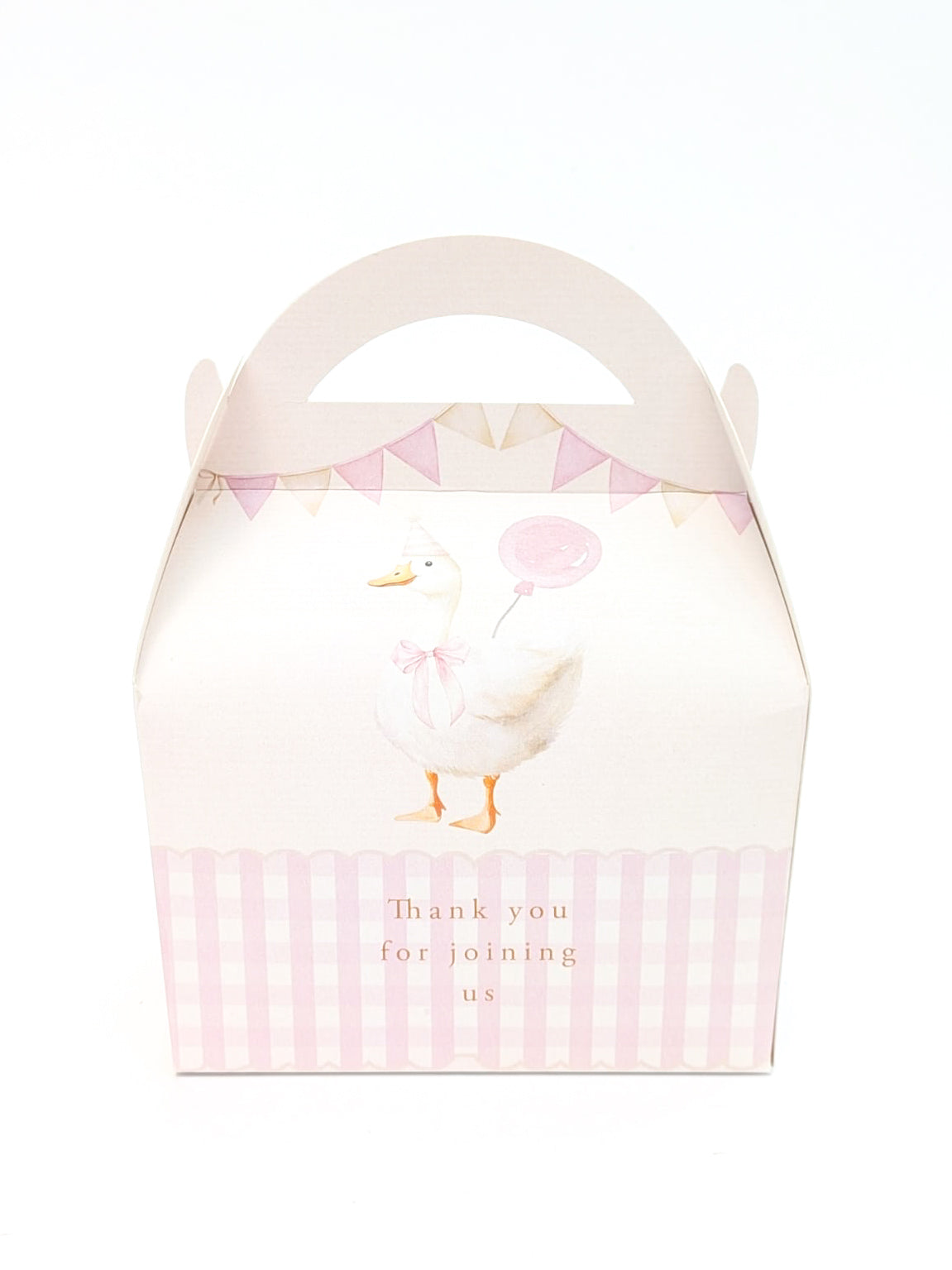 SILLY GOOSE first second 1st birthday children's personalised party boxes gingham boho