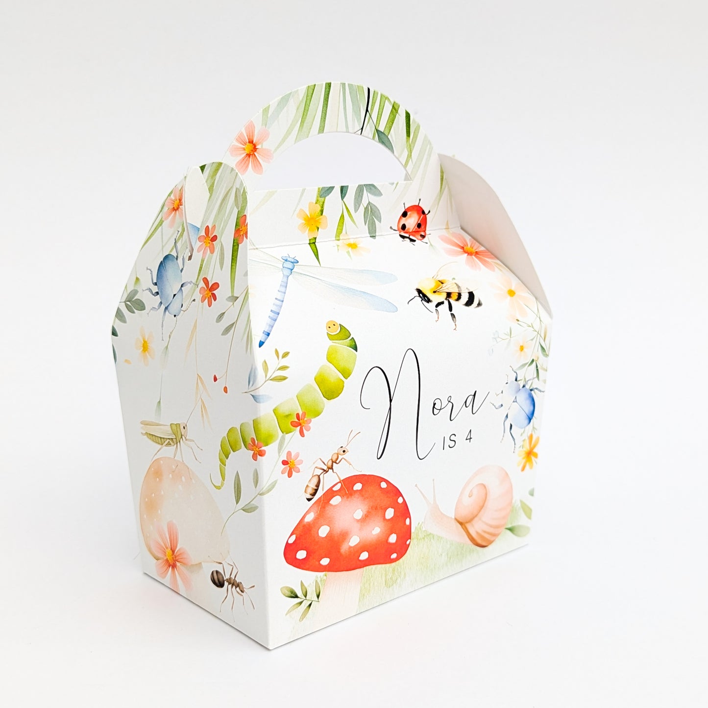 Bugs Insect floral garden personalised children's party boxes