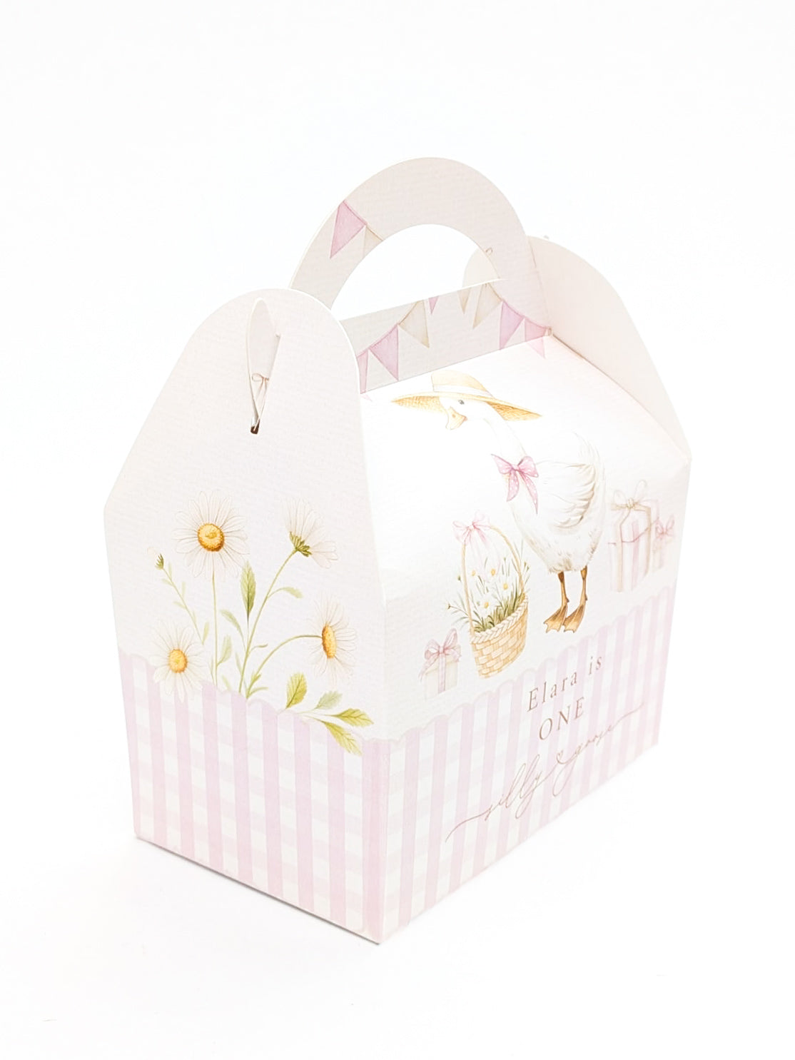SILLY GOOSE first second 1st birthday children's personalised party boxes gingham boho