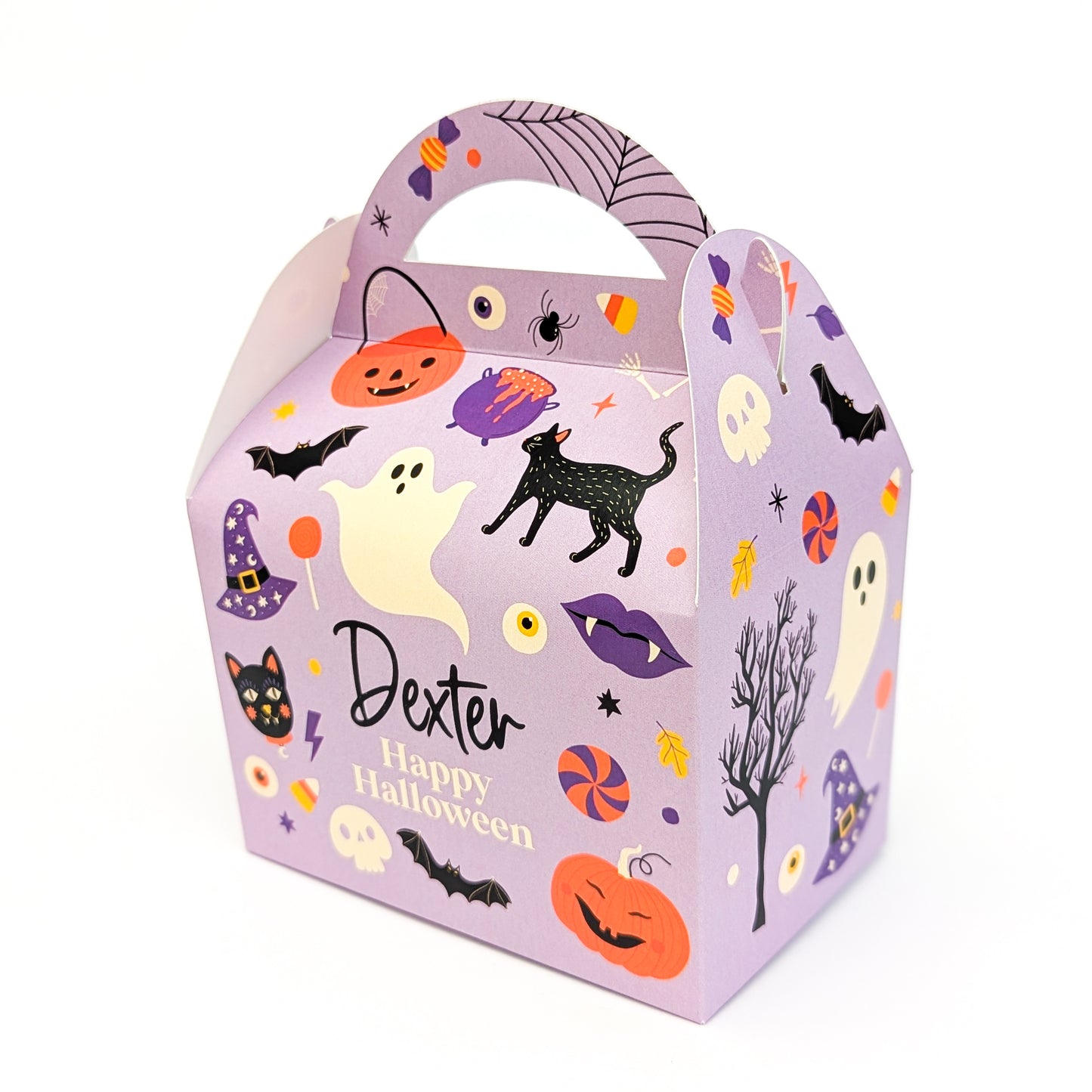 HALLOWEEN Scary Witch Cat Bat Illustrations  Personalised Children’s Party Box Gift Bag Favour