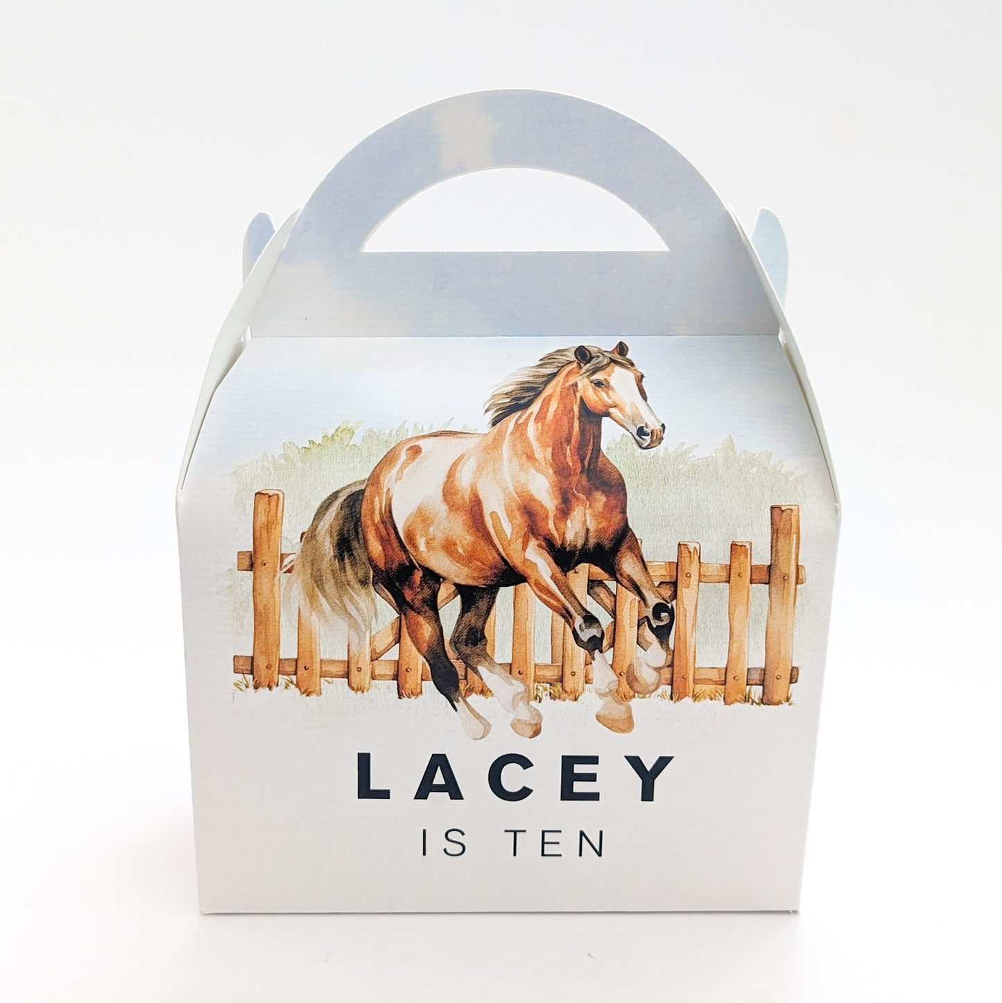 HORSES Equestrian Horse Riding Personalised Children’s Party Box Gift Bag Favour
