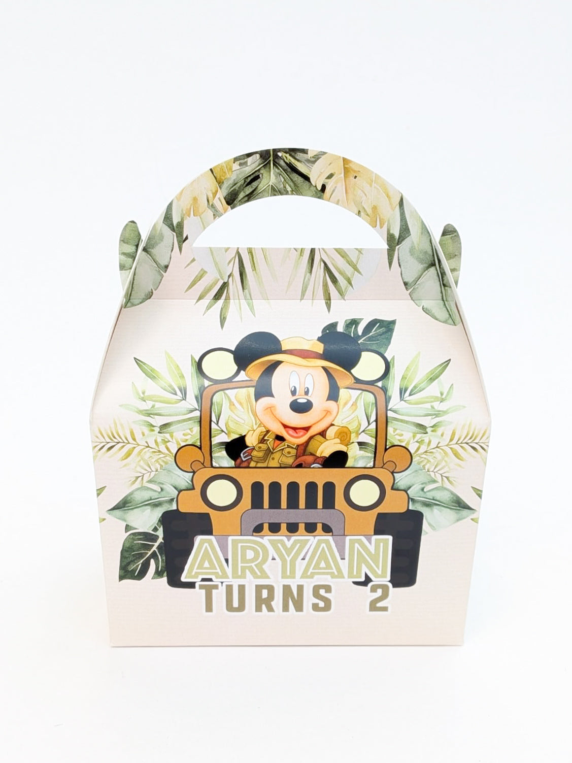 Safari Mickey Mouse Jungle Party Boxes